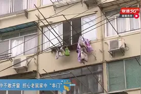 吓人！老人家中养了100多只老鼠，成群结队出没，邻居崩溃了......图片