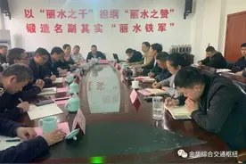 经过丽水！杭金丽福高铁、金华至南平铁路最新进展图片