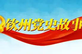 夜读，《钦州党史故事汇》| 屯茂突围图片