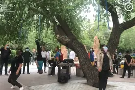 沈阳大爷大妈把头挂树上锻炼，跟随绳索摆动？画风奇特网友直呼吓人图片