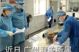 广州查获50只巨人恐蚁，喷酸可致人化学灼伤！网友：居心叵测啊图片