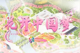 视频｜一起云游花博会，10平方公里的园区有这些好去处图片