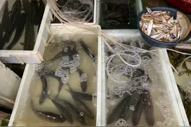 价格涨了！湖北人爱吃图片