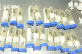 海关查获50只巨人恐蚁，喷酸可致人灼伤图片