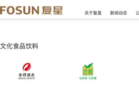 新生的复豫酒业背后，是复星的资本游戏？还是郭广昌的白酒梦想？图片