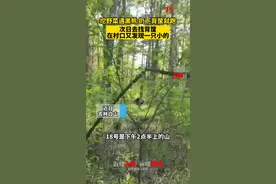 女子挖野菜遇黑熊 扔下背筐就跑，次日去找背筐在村口又发现一只小的图片
