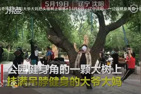 坐飞机来“上吊”？沈阳大爷大妈把头挂树上摇晃锻炼，发明大爷：有专利，能治病图片