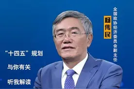 杨伟民：要力争居民收入增速快于经济增速图片
