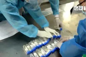 广州：海关查获50只“巨人恐蚁” 可喷酸致人化学灼伤视频封面