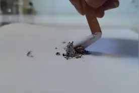 健康科普｜吸烟的危害图片