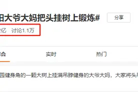 大爷大妈把头挂满树枝，居然还申请了国家专利…图片