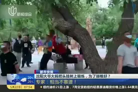 沈阳大爷大妈把头挂树上锻炼，为了颈椎好？视频封面