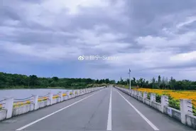 黄色花海、羽毛草田...成都湿地公园最新赏花指南，搭配运动更佳图片