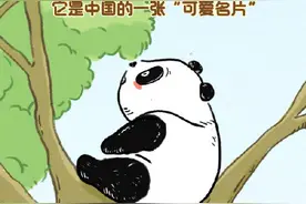 守护这些“可爱名片”图片