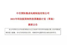 科创板股权激励领先A股：中芯国际发布股权激励计划，超两成员工将受益图片