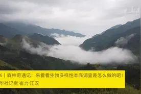 国际生物多样性日｜Vlog：森林奇遇记，来看看生物多样性本底调查是怎么做的吧！视频封面