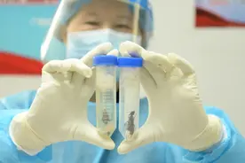 成人大拇指般大！巨人恐蚁，查获图片
