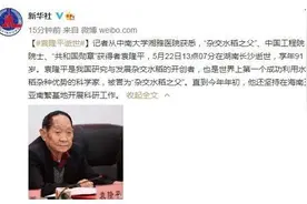 91岁袁隆平逝世：稻田里的守望者和他的两个梦想图片
