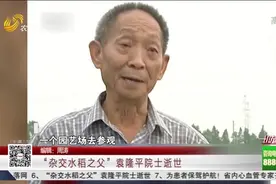 缅怀！袁隆平院士逝世,享年91岁,回顾“杂交水稻之父”的传奇一生视频封面