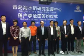 袁隆平院士的山东情缘图片