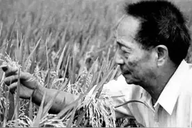 袁隆平：我的两个梦图片