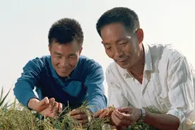 自由散漫的“90后”袁隆平，当初一意孤行立志学农图片