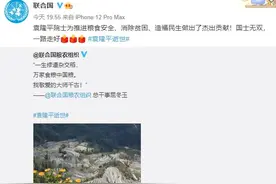 联合国经社事务部缅怀袁隆平：他是“真正的粮食英雄”图片