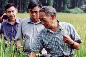 喜看稻菽千重浪 国士禾下梦乘凉——缅怀袁隆平图片