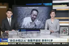 “杂交水稻之父”袁隆平逝世  享年91岁视频封面