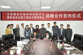 袁隆平院士曾鼓励攻关“杂交小麦”图片