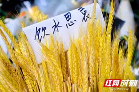 送别袁老的花海，写满了心里话图片