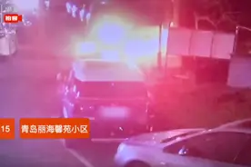 泼垃圾、掰车牌、砸三角帽…车位被占，青岛一女子“放大招”，代价：三万二图片