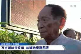 袁隆平与山东情未了：盐碱地里飘稻香，他让青岛产海水稻走向全国