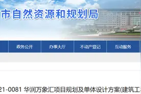 华润万象汇将落户泰安！效果图曝光！在泰山大街这里……图片