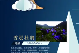 地球第三极：8000米落差造就的生物多样性之美图片