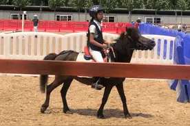 刘烨女儿参加马术比赛获佳绩 霓娜骑马又酷又飒图片