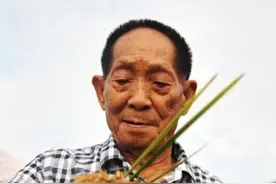 新华述评：禾下乘凉梦 一梦逐一生——怀念袁隆平图片