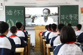 佩白菊 寄哀思图片