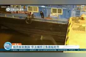 罚！南通：船员偷偷撒网非法捕捞江鱼，监控拍下全程视频封面