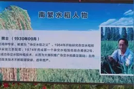 袁隆平的一生，一半在湖南，另一半在这里……图片