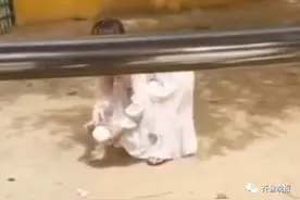 山东德州动物园内一女子跳进鸵鸟区，抱起鸵鸟蛋就跑图片