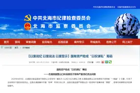 10亿多元国有资产险没！广西一林场领导班子落马，还勾结涉黑集团图片