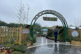 迷你南瓜好看又好吃，花博会有一个可以吃的“蔬菜花园”图片