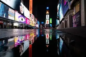 纽约治鼠患：“狗拿耗子”管得不错图片