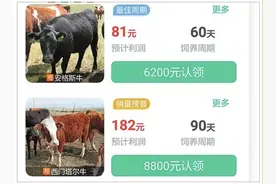 虚拟种养殖能赚钱？当心是坑图片