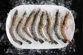 美极VS茄汁，你的基围虾在等待图片