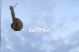 满满的狗粮！昆凌晒蜗牛照片配周杰伦歌词 为老公打歌图片