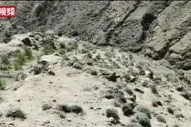 连救6人的牧羊人还原惊险情景，他还有一个遗憾……图片