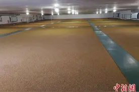 四川建成265个绿色低温粮库 数百万吨粮食进“冰箱”图片