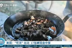 人宠都能吃！美国吃货出动，蛰伏17年的蝉被烤着吃炸着吃视频封面